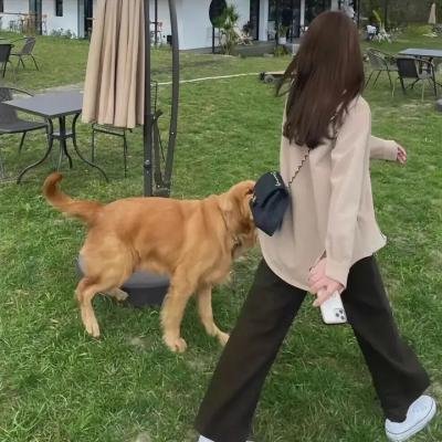 拉孔布·吕西安